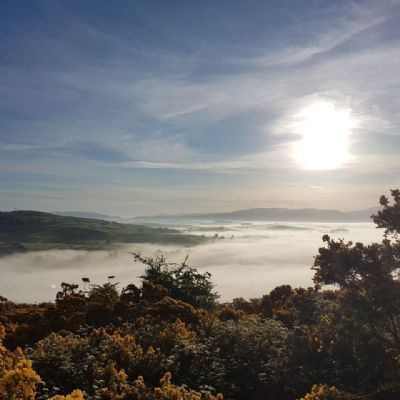 Mr J Reynolds, Farleton Fell (2)